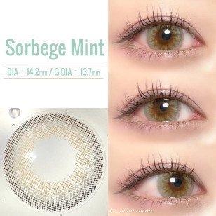COLOR MAJORITY 1Day Sorbege Mint カラーマジョリティー ソルベージュミント